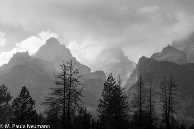 _MG_8696.jpg