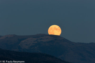 Harvest Moon from Signal Mtn.