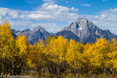 Willow Flats