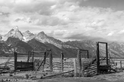 Mormon Row