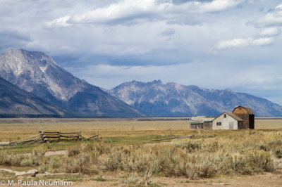 Mormon Row