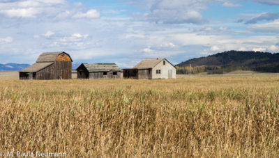 Mormon Row