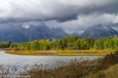 Oxbow Bend