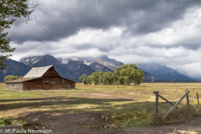 Mormon Row