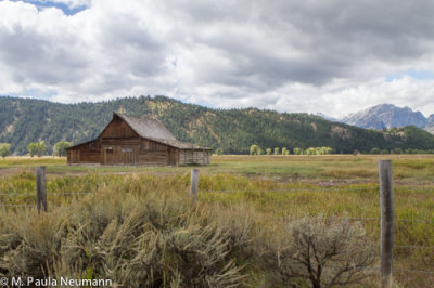 Mormon Row