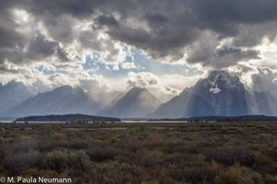 Grand Teton Mts. from Willow Flats