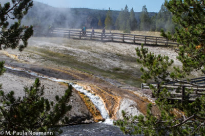 Mid Geyser Basin