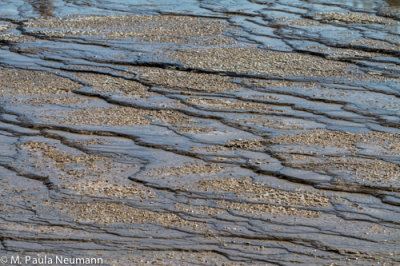 Mid Geyser Basin