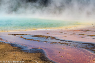 Grand Prismatic Hot Springs