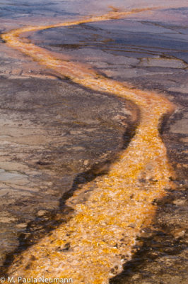 Mid Geyser Basin
