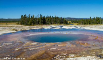 Mid Geyser Basin