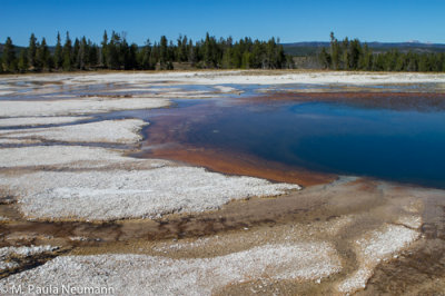 Mid Geyser Basin