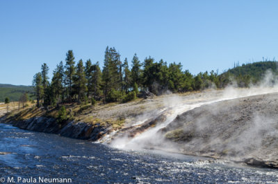 Mid Geyser Basin