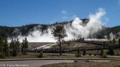 Geyser Basin