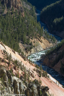 Yellowstone River