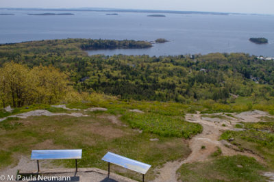 View from Mt. Battey