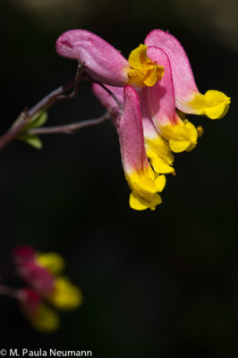 Maine2012-191.jpg