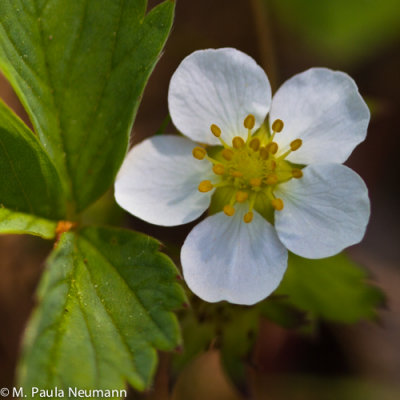 Maine2012-209.jpg