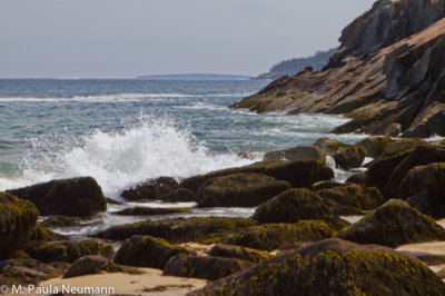 Acadia National Park