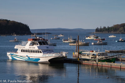 Bar Harbor