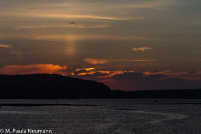 Bar Harbor Sunset