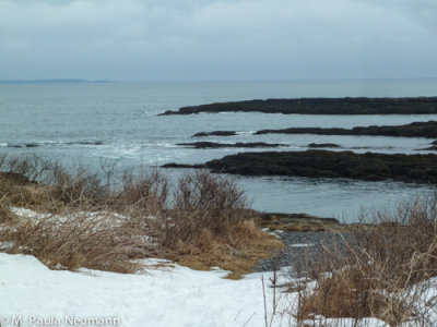 Bailey Island