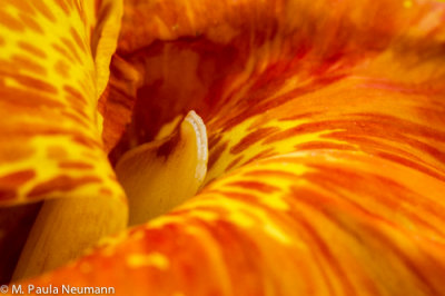 untitled-443.jpg