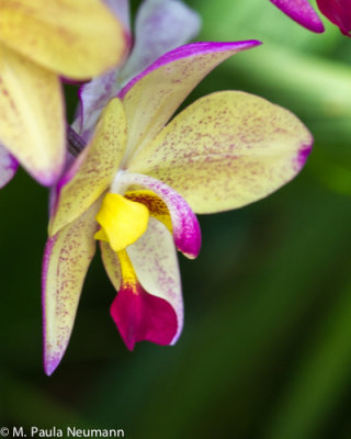 _MG_6308.jpg