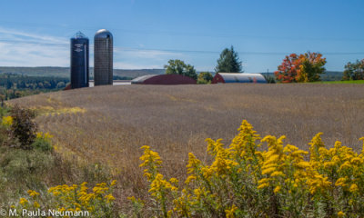 dcl 2012-51.jpg