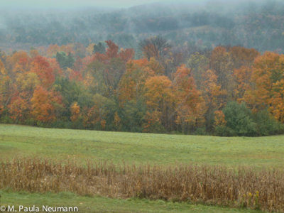 dcl 2012-73.jpg