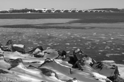 Potomac River