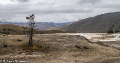 Yellowstone National Park