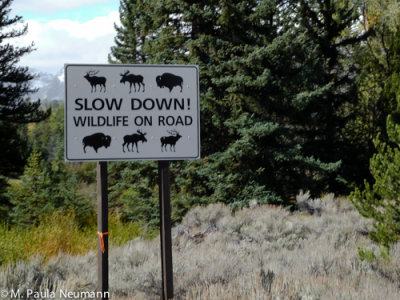 tetons national park