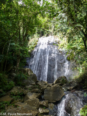 El Yunque