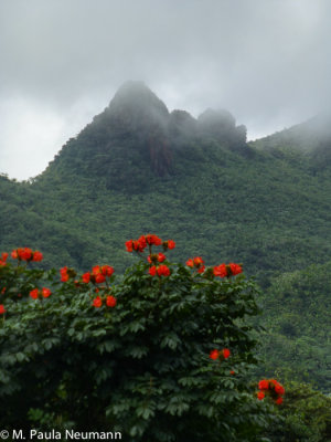 El Yunque