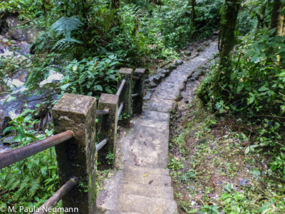 El Yunque