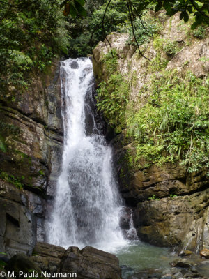 El Yunque