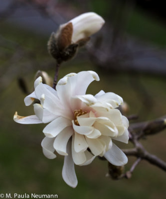 untitled-98.jpg