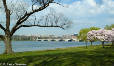 Memorial Bridge