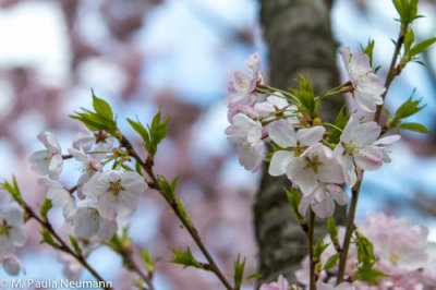 untitled-38.jpg