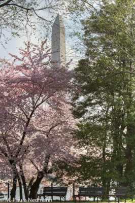 Washington Monument