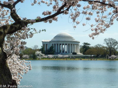 Jefferson Memorial