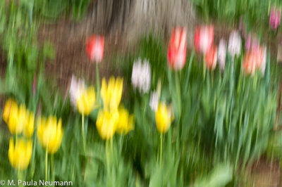 _MG_7146.jpg