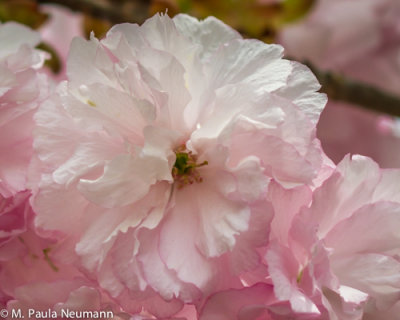 g9/53/1115353/3/155395574.IMCmv6ow.jpg