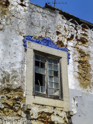 P1030283.jpg