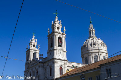 _MG_0040.jpg