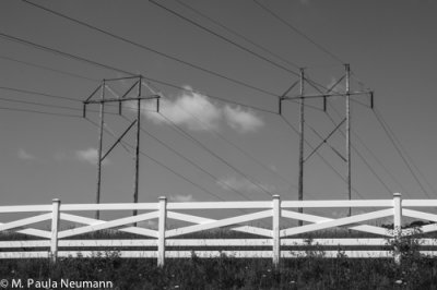 _MG_3124.jpg