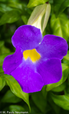 _MG_3767.jpg