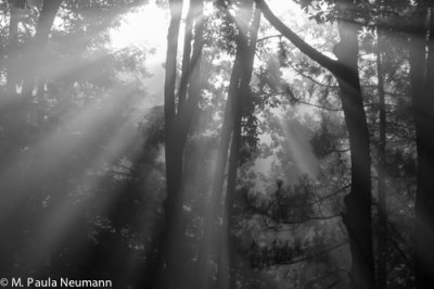 _MG_6044.jpg