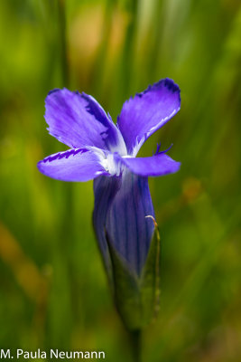 g9/53/1115353/3/157708751.zmeqU5cG.jpg